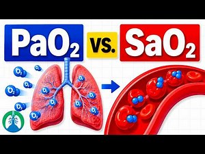 PaO₂ vs. SaO₂ | How are They Related?