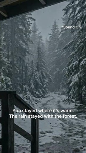 Rain Falling on Snow from a Forest Porch 🌧️