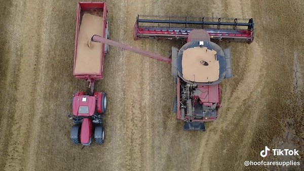 Drone Farming: Capturing the Wheat Harvest in Action