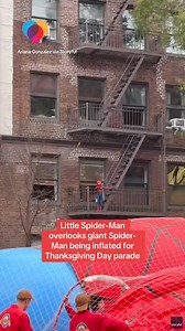 This little Spider-Man used his spidey senses to help inflate a much bigger Spider-Man ahead of the iconic parade on Thanksgiving Day in New York City. Ariana Gonzalez, who spotted the boy overlooking the float inflation in Manhattan's Upper West Side said the boy was “living out his dream” and the moment “brought tears to my eyes.” #spiderman #thanksgiving #nyc | The Uplift
