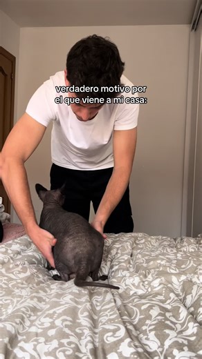 Videos de emma.alemany (@emma.alemany) con “someone to stay acoustic mashup - aboutourfeelingss”