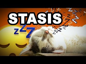 Learn English Words: STASIS - Meaning, Vocabulary with Pictures and Examples