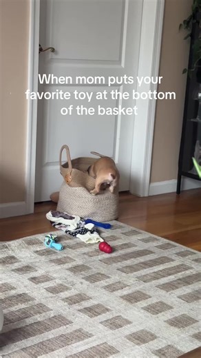 Pierre’s TikTok debut #weiner