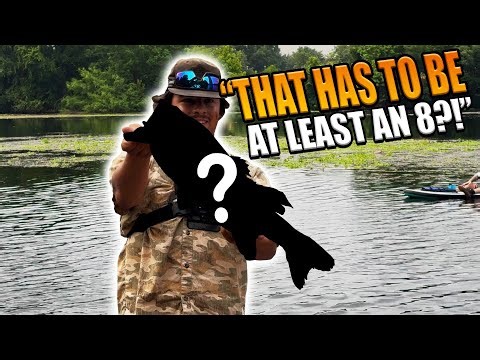 We Couldn't Believe The Weight Of This Bass!