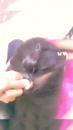 Skeleton Braid 🔥❤️ The Bold Braid Trend Everyone Loves