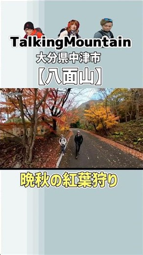 【登山】八面山 晩秋の紅葉狩り｜大分県中津市＃shorts＃登山＃トーキングマウンテン