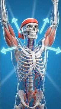 The Perfect Pull-Up Form 💪 Avoid These 4 Mistakes!