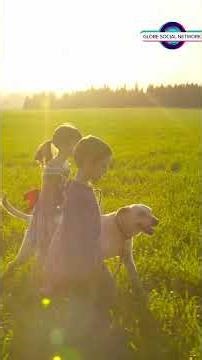 Save a Life: Local Pet Adoption Guide