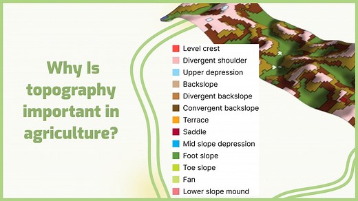 Topography and nutrition content in soil and yield