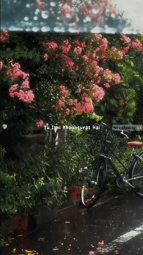 Tu Itni Khoobsurat Hai | Lyrics Video