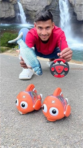 Rc Remote Control Asli Rad Duita Fish 🐠 Unboxing 🥹