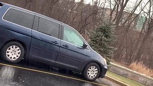 Bonzi Buddy’s ｅｘｐａｎｄｅｄMemeware.exe on Reels