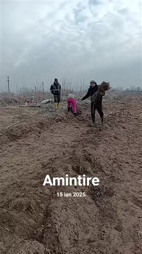 Amintire: Lucrul cu șefu și umorul echipei