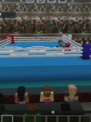 ♀️Girls and ♂️boys who will win the 🥊🥊boxing match.... #minecraft #jj #shortsfeed #drama