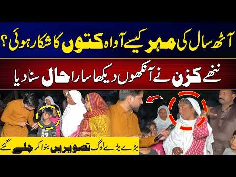 "I Saw Everything!" – 8-Year-Old Mehr's Cousin Reveals Shocking Details of Stray Dog Attack | City42