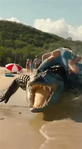 Ep 61: Funny Crocodile Moments That Will Make You Laugh 🐊🐊🐊 #FunnyCrocodile #PetCrocodile