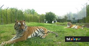 Jardim Zoológico da Maia já reabriu e aguarda visitantes