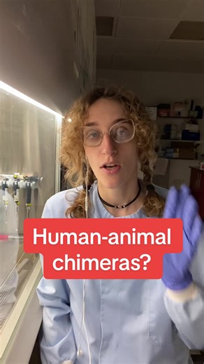 Human-Animal Chimeras: The Science and Ethics