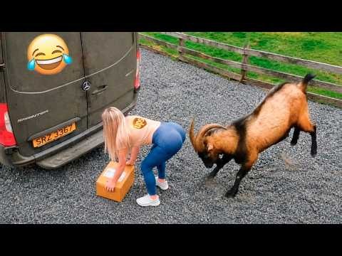 Funniest Animal Videos 2026 😂 Just When You Think You've Seen It All