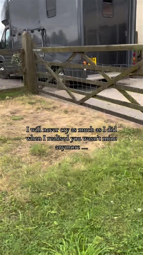 Heartfelt Tribute to Paddy the Pony