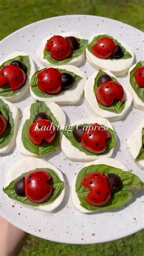 Eating Healthy Today on Instagram: "Ladybug Caprese🐞🐞🐞 (Via: @rachaellsrecipes) Isn’t this adorable?! My mother-in-law made this a couple of weeks ago and I had to remake to share!! I was obsessed with ladybugs when I was little so maybe that is why I find this so cute😂 Recipe: Cherry tomatoes (not grape because cherry are more round) Sliced mozzarella Fresh basil leaves Black olives, cut into quarters Balsamic reduction (or I used a pastry gel since the consisten