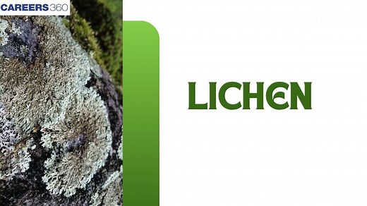 What are Lichens?- Types and General characteristics of Lichens