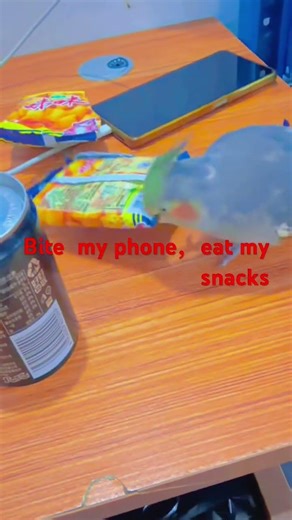 Bite my phone eat my snacks #parrots