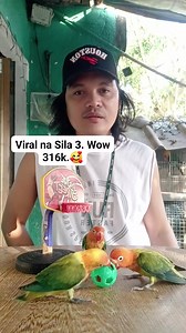 Nice bird.😘🥰 #reelschallengereelschallenge #highlightseveryonefollowers #viograms #jbirdtv #panghandfeed #videograms #viralchallenge #BirdShow #birds #show | J BIRD TV