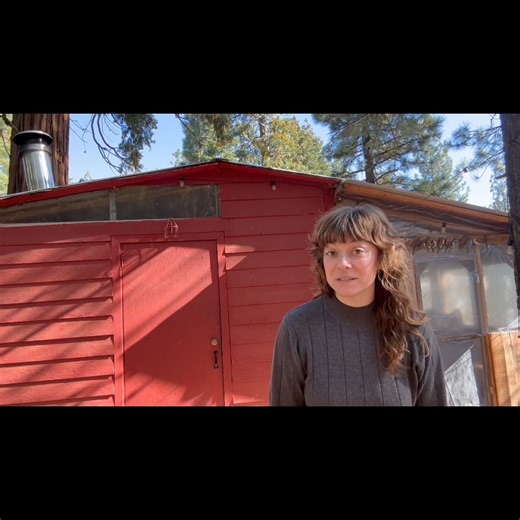 Toby Rose Lonesome on Instagram: "Staying warm SAFELY Off the Grid is Key! Cleaning my wood stove pipe is part of my Winter Prep Routine at the Off Grid Cabin! This Wood Stove is a great source of Heat and is completely Safe when properly maintained! #dıy #cabin #hack"