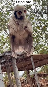 Ton nom est déjà gâté 😂😂 | La Nouvelle