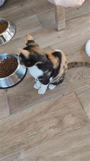 Anna Sergeeva on Reels