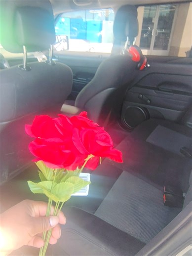 🦜 Perico Hernández (@pericohernandez97)’s videos with sonido original - viki_jesus