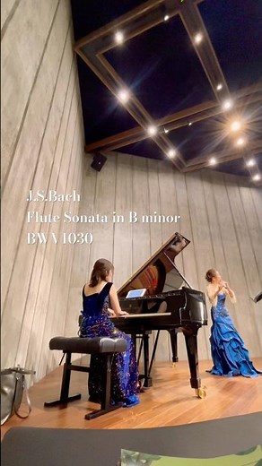 【音の形式美】J.S.Bach - Flute Sonata in B minor BWV 1030｜バッハ：フルートとオブリガート・チェンバロのためのソナタロ短調 #classicalmusic