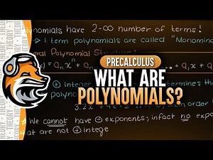 What Are Polynomials?