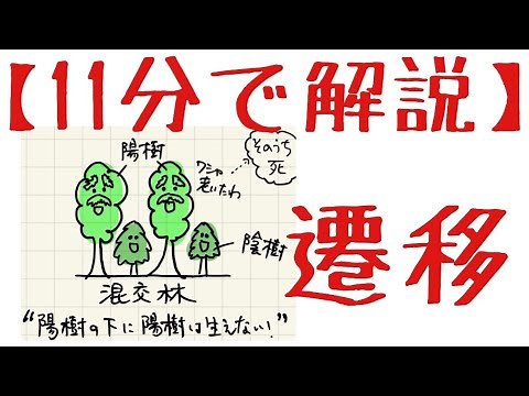 生物基礎 第4章 遷移