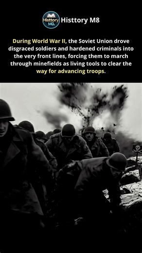They Were Forced to Walk First: How the Soviet Army Cleared Minefields in WWII #ww2 #history