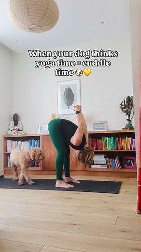 Yoga with a side of puppy love 🐾🫶🏼 Reminder & lessons from the mat today : your practice doesn’t have to be quiet, perfect, or uninterrupted…it just has to be real. Some days it’s all balance and breath… other days it’s kids, family and cuddles mid-asana. All are yoga. Today’s guru: Goldie 🐶 ( always always a welcome interruption 😊) lesson: presence, joy, unconditional love. 🧡 See you Friday at 10 am @zogadubai DIC ( by the way did you know Zoga is dog friendly !) 🐶🐕🐾 #yogawithdanica #y