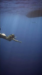 Throwback to when I swam with sharks in the North Shore of O’ahu 💙🦈 ‪@DeepBlueEcoTours‬