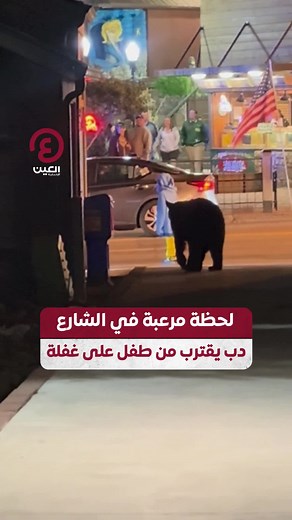 لحظات مرعبة مع دب أسود في غاتلينبورغ