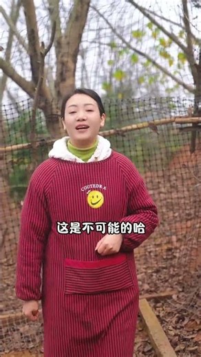 Free-Range Native Chickens: Nature-Grown, Grain-Fed Delicacies