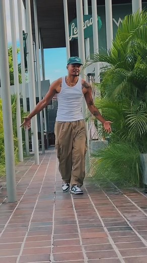 Terminator Dancing Compilation Edit