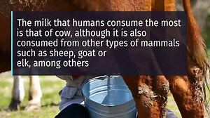 8 health benefits of milk - video Dailymotion