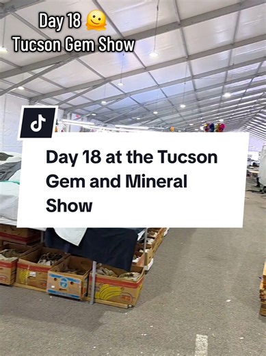 Day 18 Updates from the Tucson Gem and Mineral Show