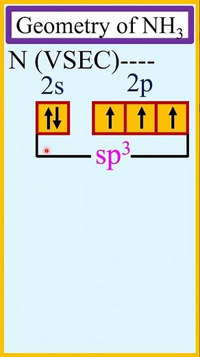 Geometry and shape of ammonia (NH3) and hybridisation of the central atom N. #chemistry