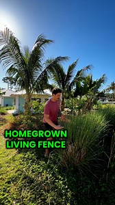 12K reactions · 223 comments | Vetiver Grass, a natural fence that...