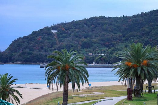 「瀬戸内のハワイ」周防大島は魅力いっぱいのリゾートアイランド！ | 山口県の情報サイト We-Love山口