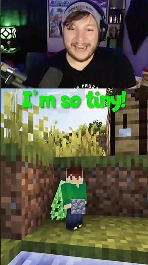 The Minecraft SHRINK RAY!