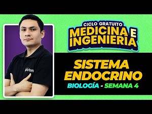 Ciclo Gratuito - Biología - Sistema Endocrino