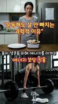 "운동해도 살 안 빠지는 과학적 이유"#다이어트 #기초대사량 #에너지보상 #정체기 #살빼는법 #식단조절 #헬스 #건강정보#다이어트꿀팁 #운동과학 #유튜브쇼츠 #쇼츠 #shorts