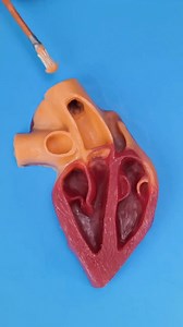 常见手术模拟范例Surgical Simulation Examples